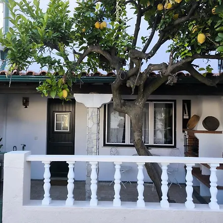 Quartos De Limao Golega Exterior photo